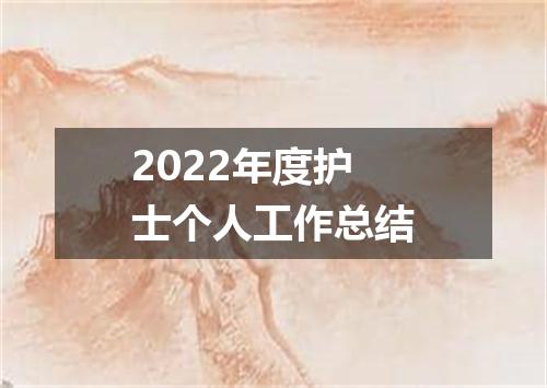 2022年度护士个人工作总结