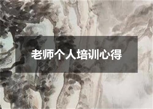 老师个人培训心得