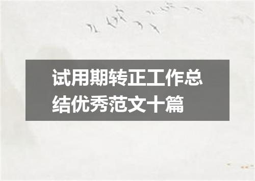 试用期转正工作总结优秀范文十篇