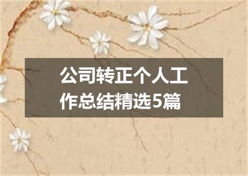 公司转正个人工作总结精选5篇