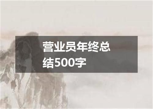 营业员年终总结500字