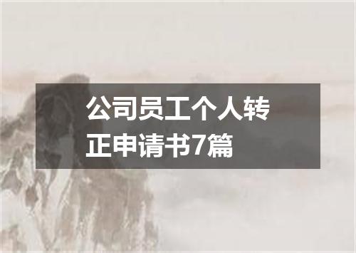 公司员工个人转正申请书7篇
