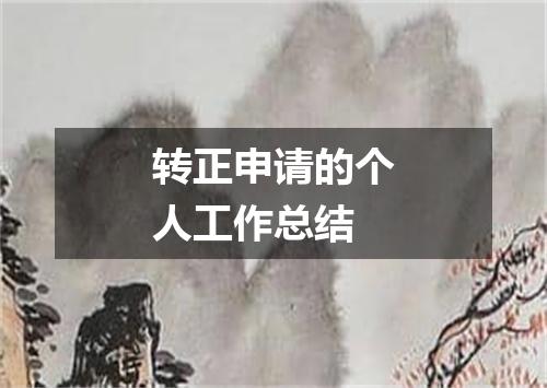 转正申请的个人工作总结