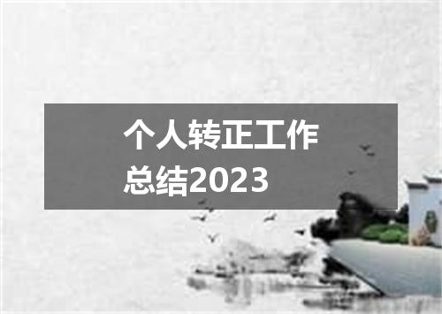 个人转正工作总结2023