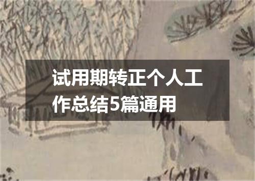 试用期转正个人工作总结5篇通用