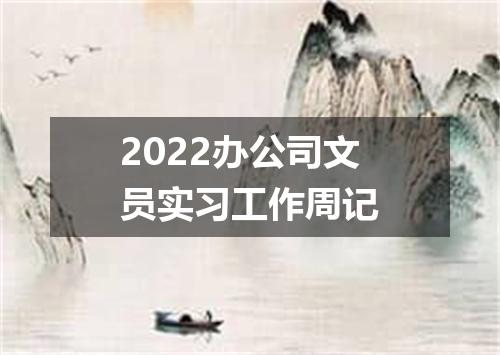 2022办公司文员实习工作周记