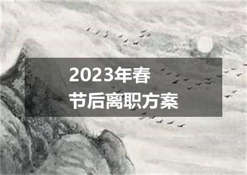 2023年春节后离职方案