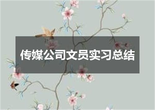传媒公司文员实习总结