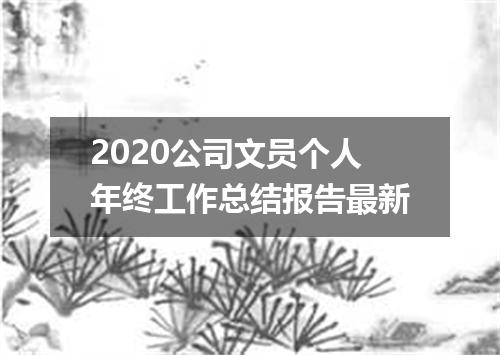 2020公司文员个人年终工作总结报告最新
