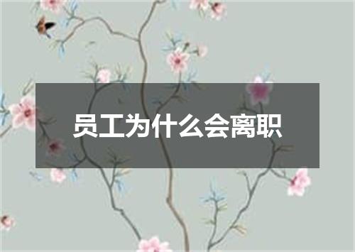 员工为什么会离职