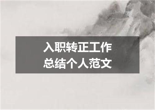 入职转正工作总结个人范文