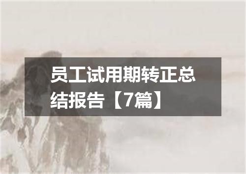 员工试用期转正总结报告【7篇】