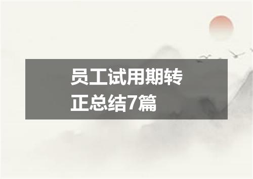员工试用期转正总结7篇