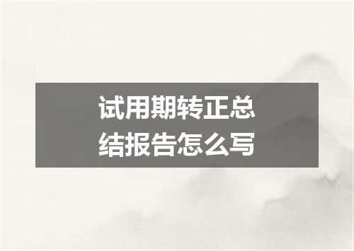 试用期转正总结报告怎么写
