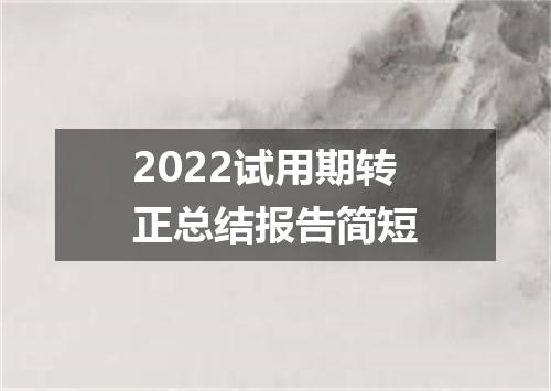 2022试用期转正总结报告简短
