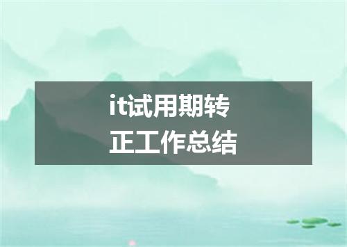 it试用期转正工作总结