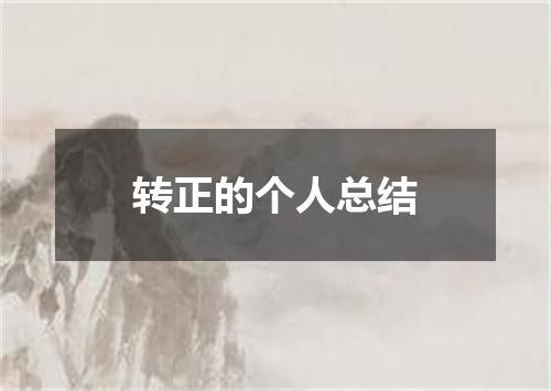 转正的个人总结