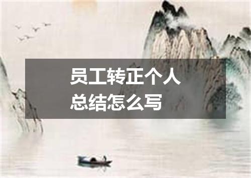员工转正个人总结怎么写