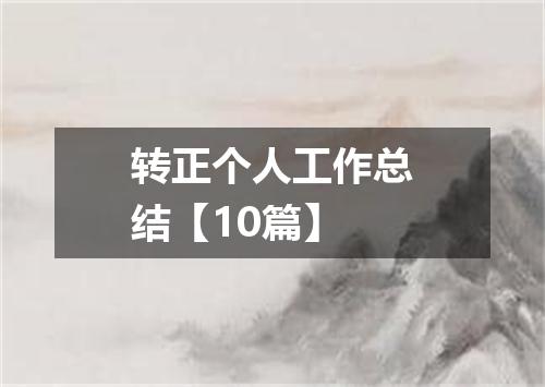 转正个人工作总结【10篇】