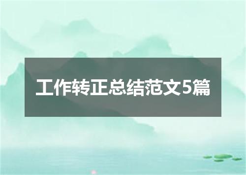 工作转正总结范文5篇