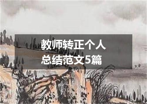 教师转正个人总结范文5篇