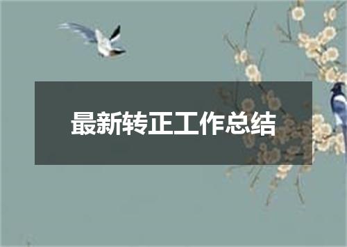 最新转正工作总结