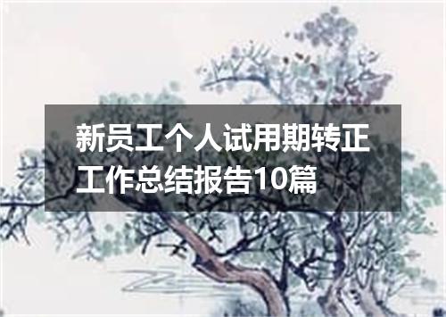 新员工个人试用期转正工作总结报告10篇