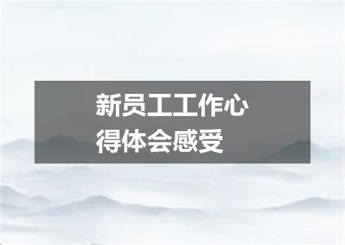 新员工工作心得体会感受