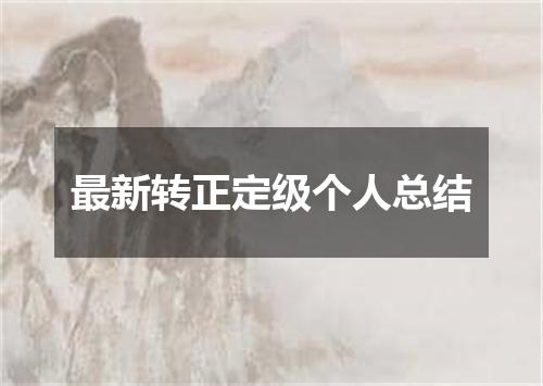 最新转正定级个人总结