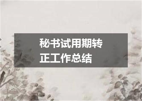 秘书试用期转正工作总结