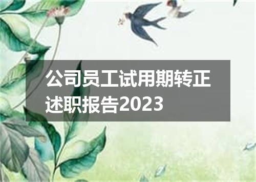 公司员工试用期转正述职报告2023