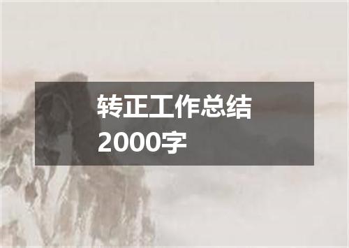 转正工作总结2000字