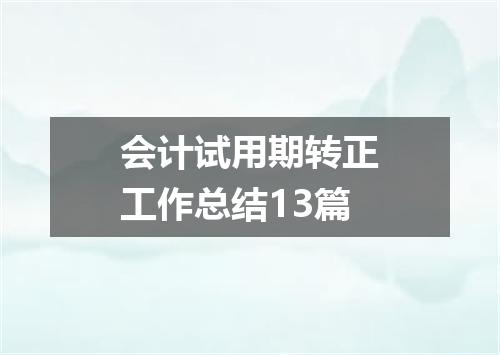 会计试用期转正工作总结13篇