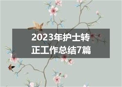 2023年护士转正工作总结7篇
