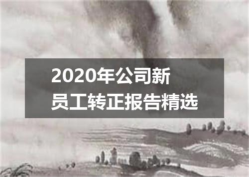 2020年公司新员工转正报告精选