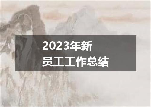 2023年新员工工作总结