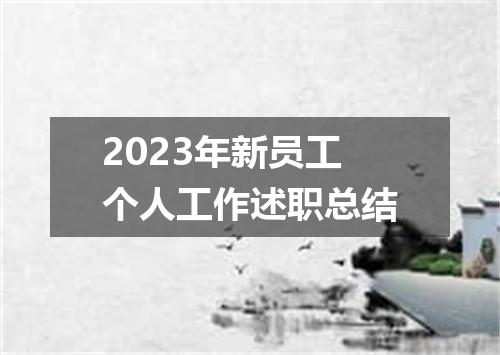 2023年新员工个人工作述职总结