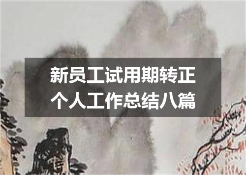 新员工试用期转正个人工作总结八篇