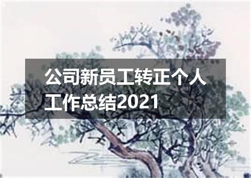 公司新员工转正个人工作总结2021