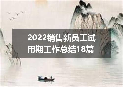 2022销售新员工试用期工作总结18篇