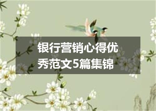 银行营销心得优秀范文5篇集锦