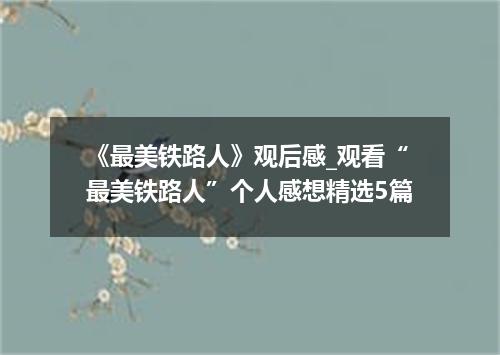 《最美铁路人》观后感_观看“最美铁路人”个人感想精选5篇