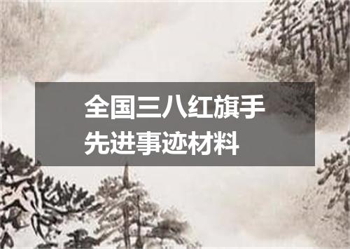 全国三八红旗手先进事迹材料