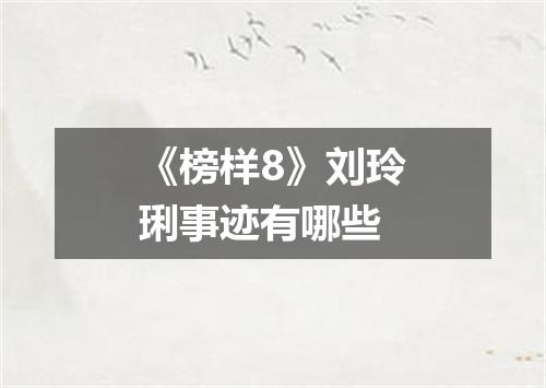 《榜样8》刘玲琍事迹有哪些