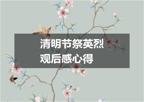 清明节祭英烈观后感心得