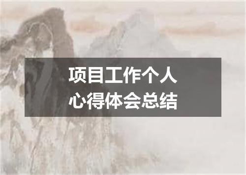 项目工作个人心得体会总结