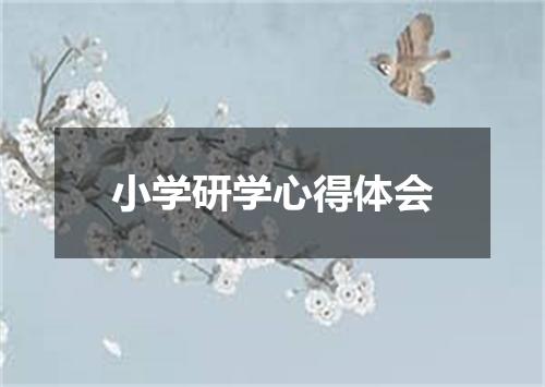 小学研学心得体会