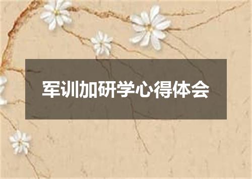 军训加研学心得体会