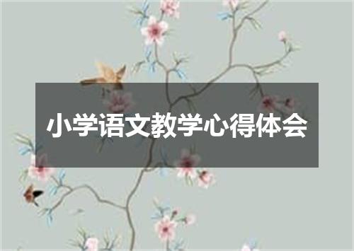 小学语文教学心得体会