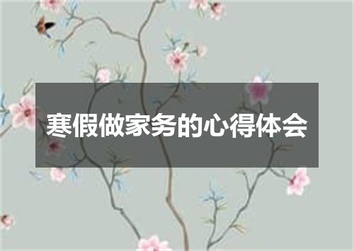 寒假做家务的心得体会